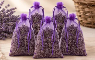 Lavanda-Toscana-Arezzo-azienda-agraria-Borgunto