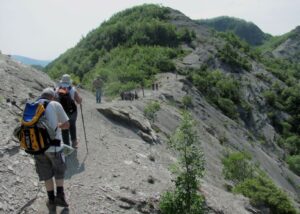 Cammini_del_Casentino_Percorsi_Spirituali_e_Natura_tra_Arezzo_e_il_Vio_Villas_Agricampeggio_Toscana_Arezzo_Viareggio_Firenze