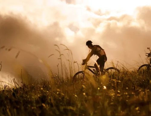Mountain Bike ad Arezzo: i Migliori Percorsi tra le Colline Toscane
