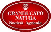 granducato-logo-guesthous-shortstays.png