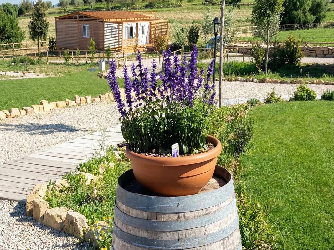 bungalow-agriturismo-in-toscana Bungalow immerso nel giardino dell’agriturismo in Toscana con fiori di lavanda